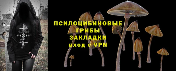 соль ск Арсеньев