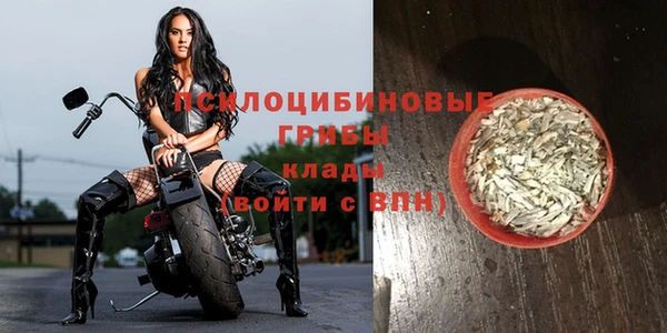 a pvp Армянск