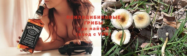 соль ск Арсеньев